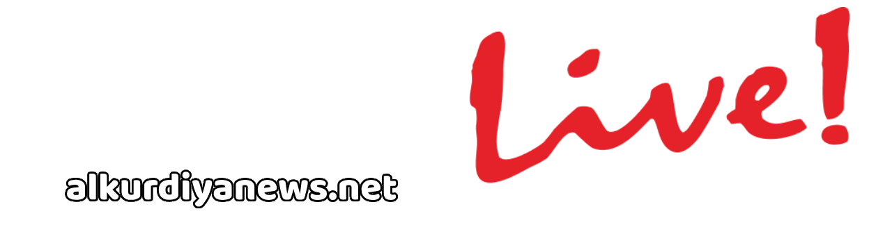 PlayLive Casino logo